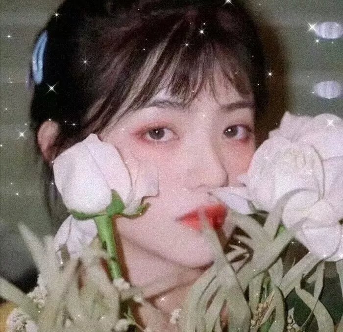 虎毒不封面